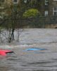 Flood Texas